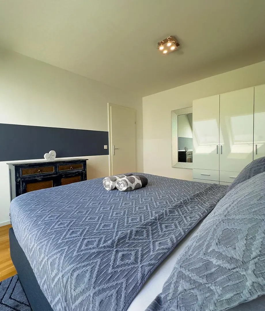 Elegant Duplex Danube Canal 维也纳